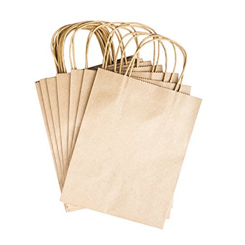 Paper Gift Bags with Handles 8