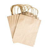 Paper Gift Bags with Handles 8" x 10.25" x 4.25" (13 Pack)